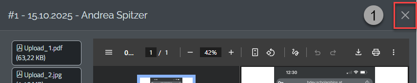 Antragsansicht mit PDF, Druckfunktion, Uploads und HTML-Ansicht